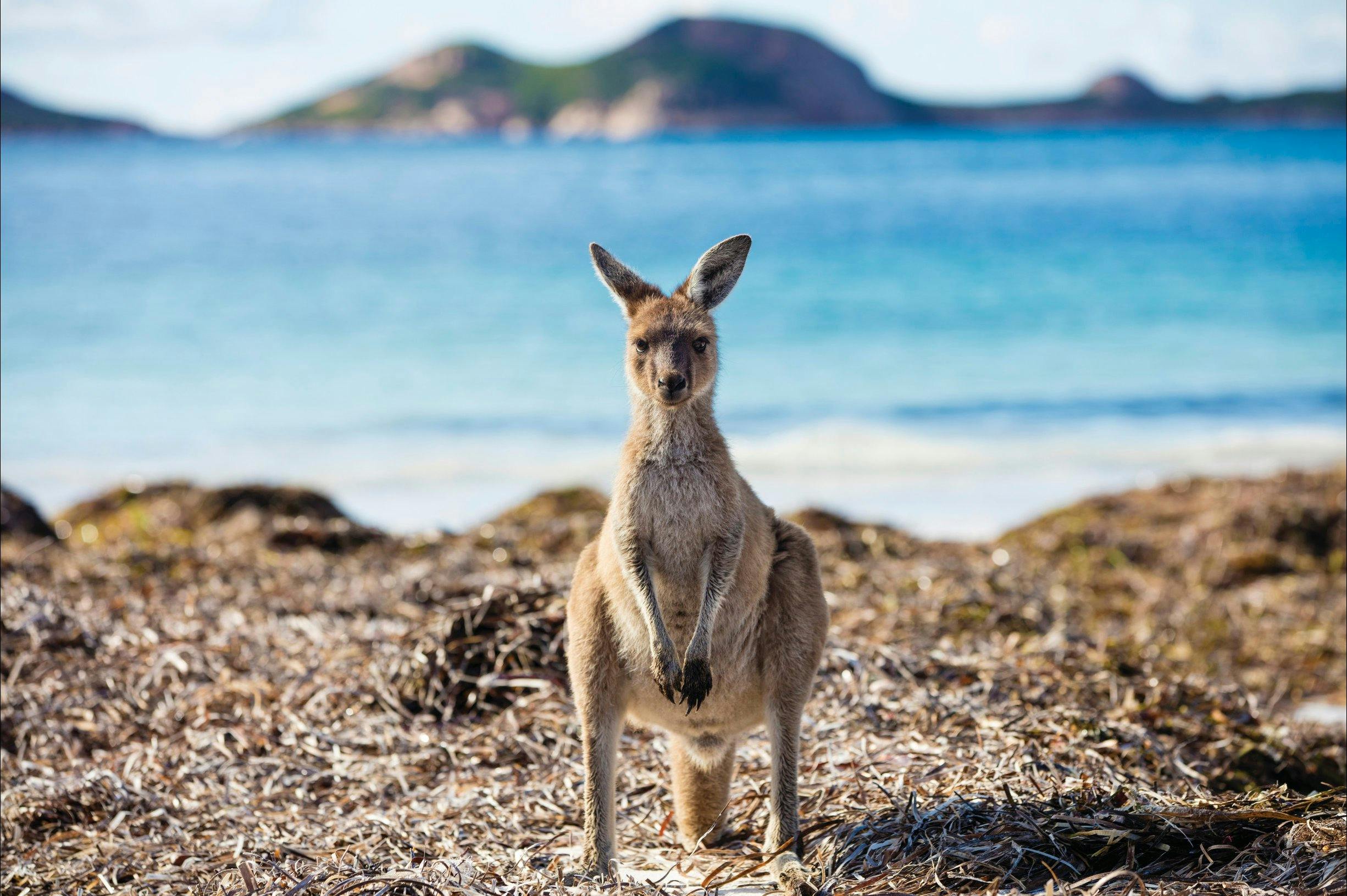 Esperance Airport, Esperance, Western Australia