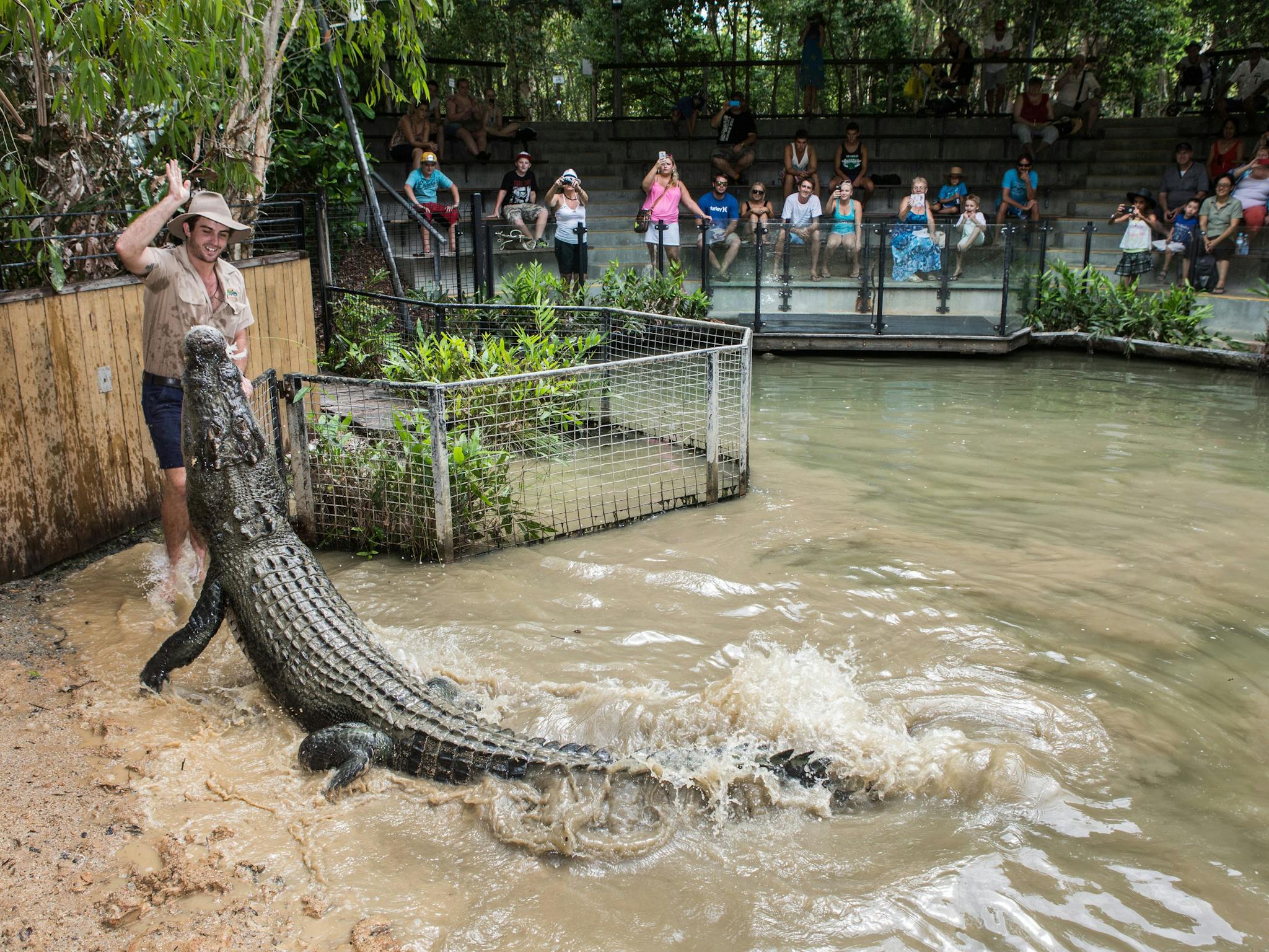 Hartley's Crocodile Attack Show Hartley's Crocodile Attack Show