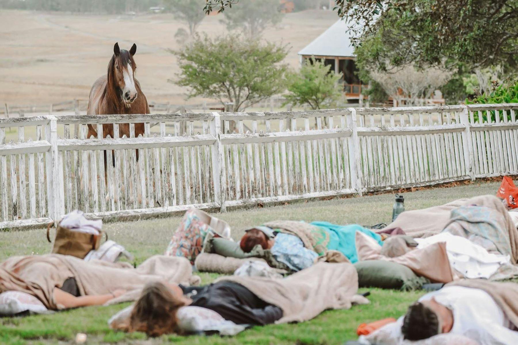 By the Banyan Tree - Twilight Sound Meditation