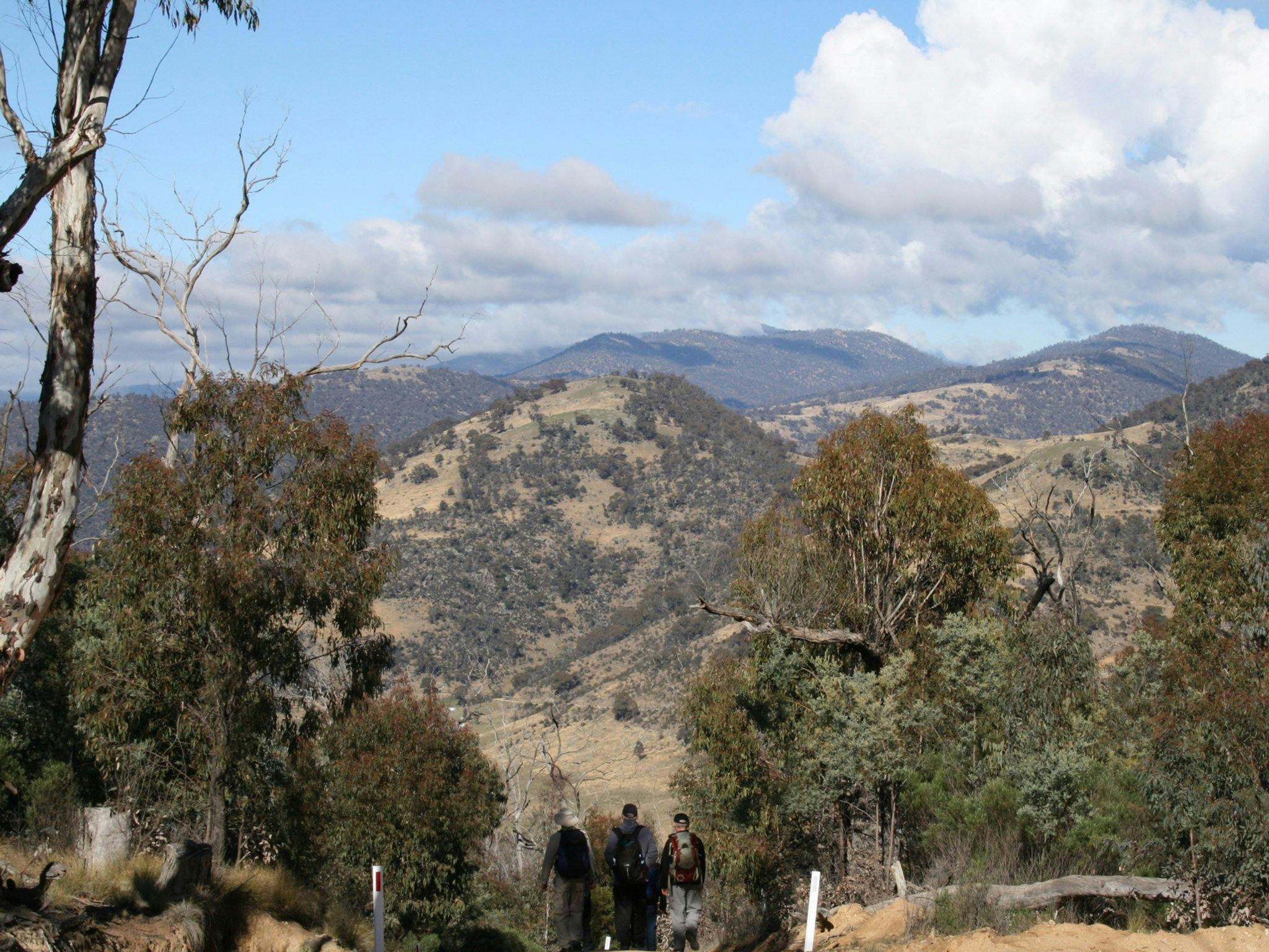 Three hikers on a trail looking at the views from Mt  Tennent in Namadgi National Park