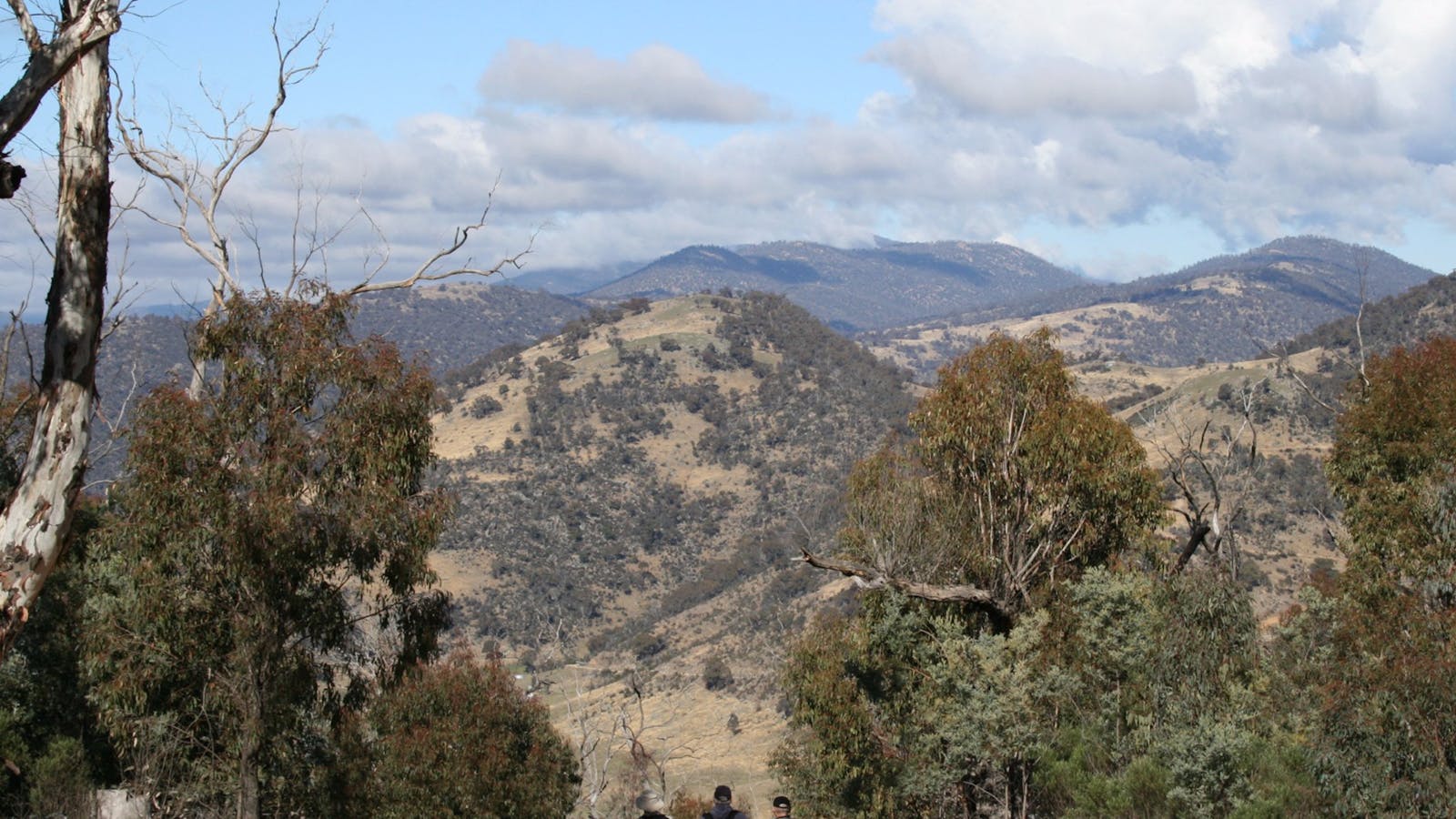 Mt Tennent
