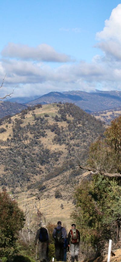 Three hikers on a trail looking at the views from Mt  Tennent in Namadgi National Park