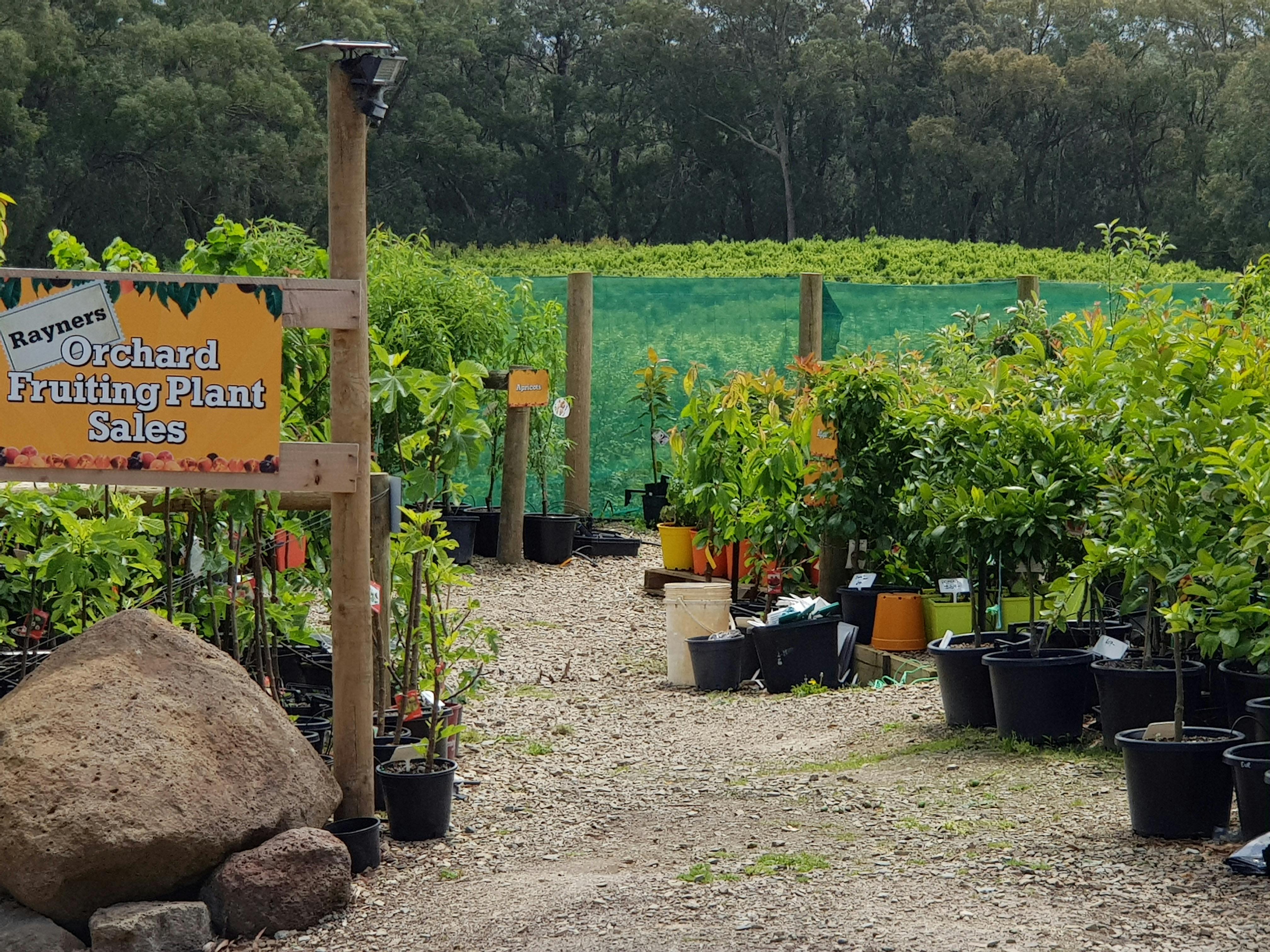 Rayners Orchard