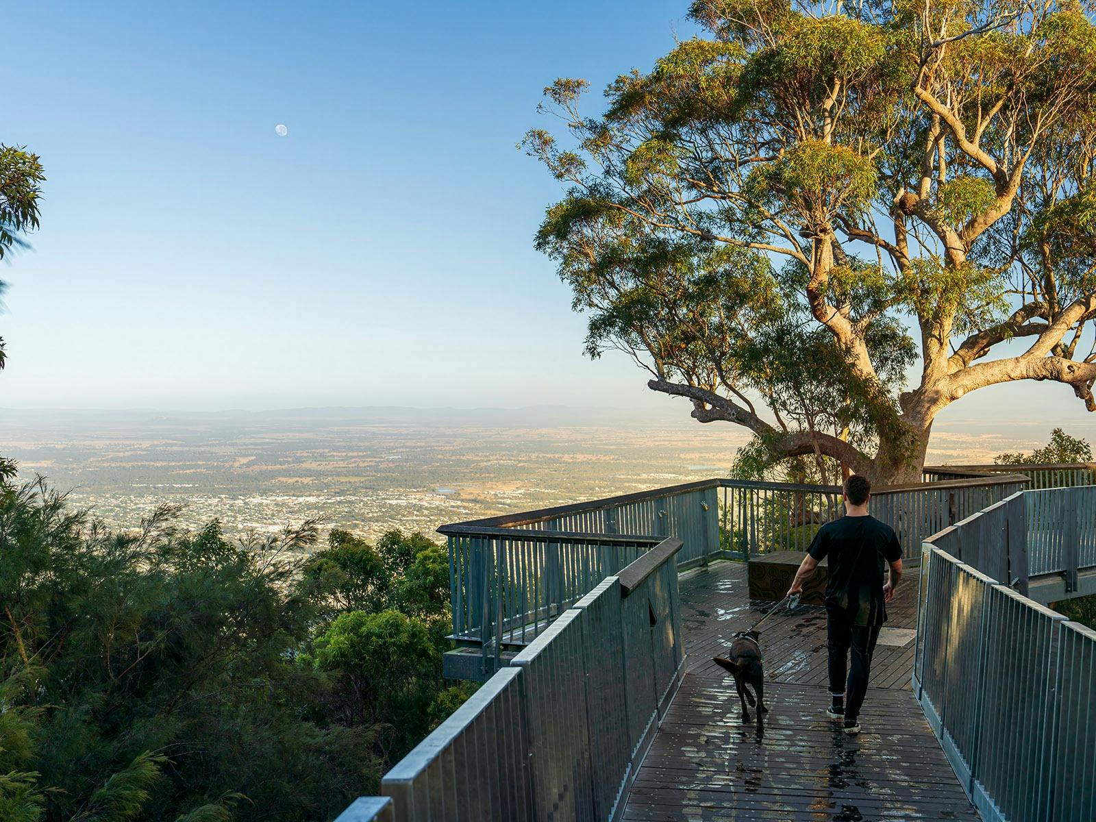 Young man walking his dog along a treetop boardwalk Young man walking his dog along a treetop boardwalk