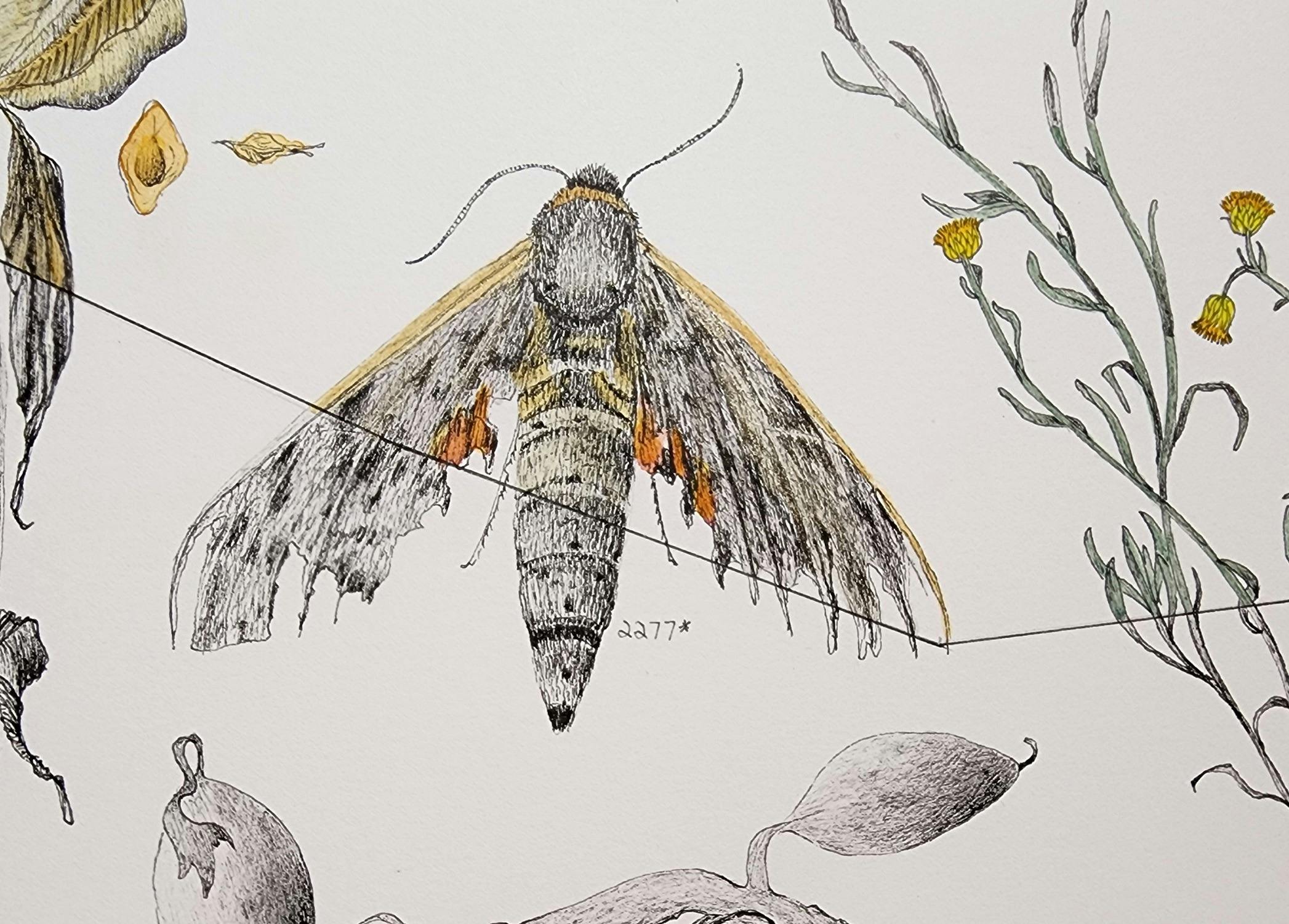 Artwork (detail) by Sharon Field