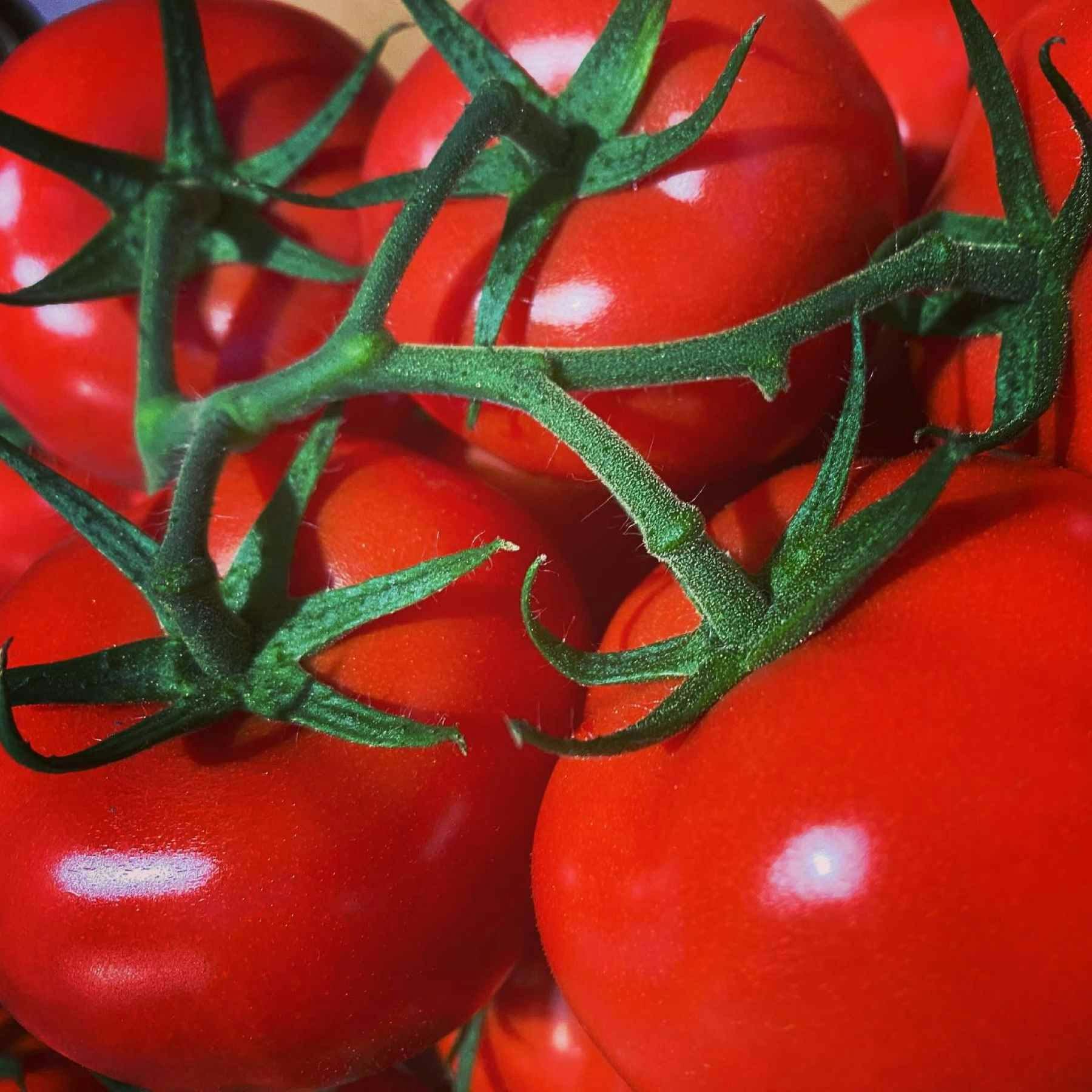 Ettalong Fresh Food Market