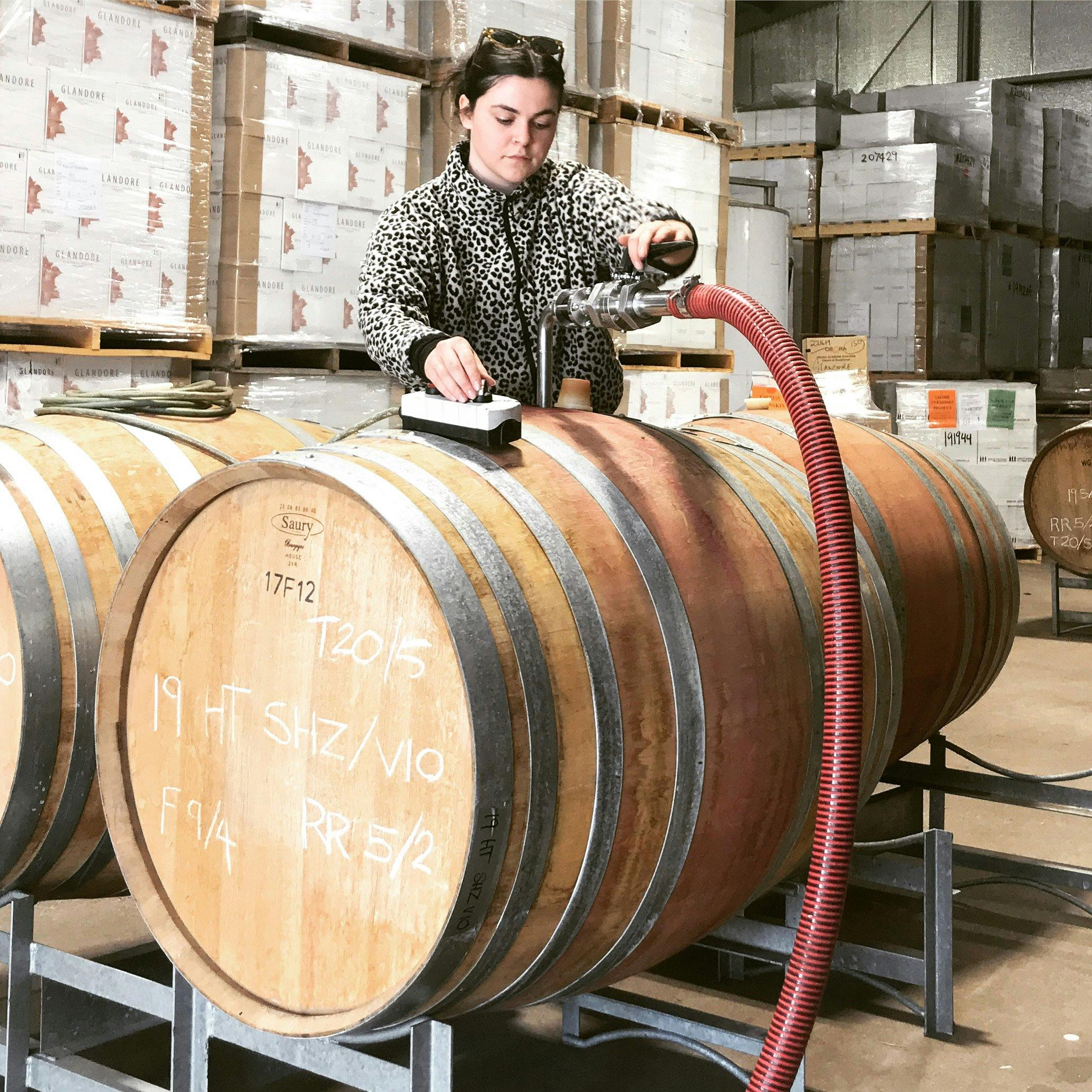 Winemaker checking the barrels
