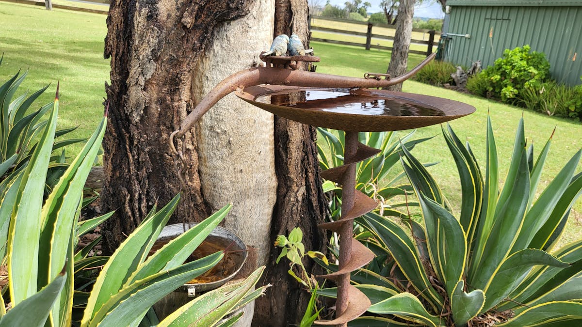 We have many different things to look at in the park, we cater for birds with our bird feeders We have many different things to look at in the park, we cater for birds with our bird feeders