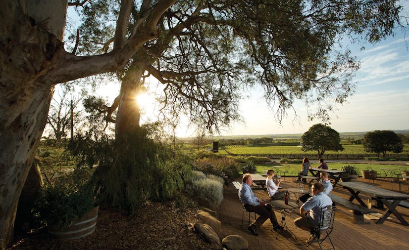 Barossa Valley Hop On Hop Off Wine Tour