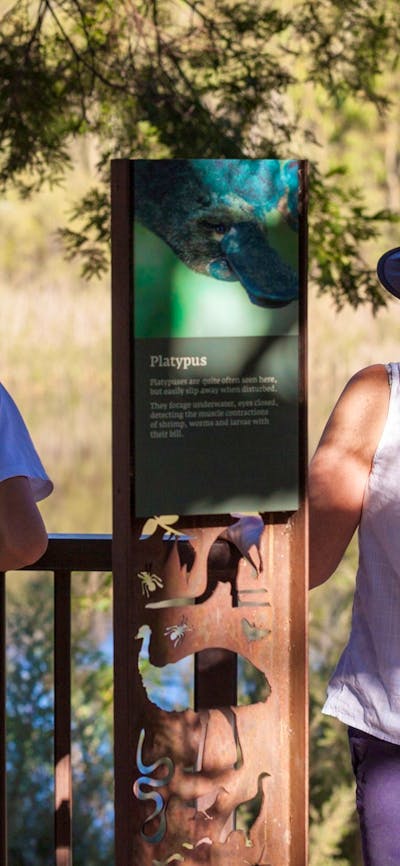 Tid Platypus