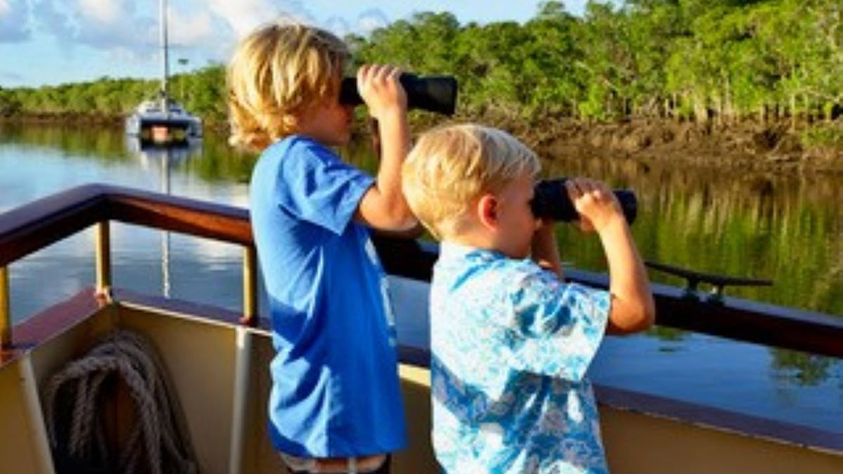 Kids Croc Spotting on Lady Douglas River Cruise in Port Douglas, Tropical North Queensland