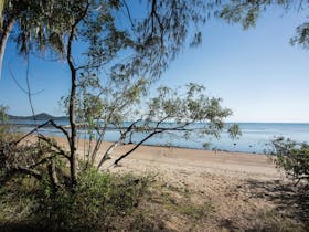 Cape Hillsborough National Park camping