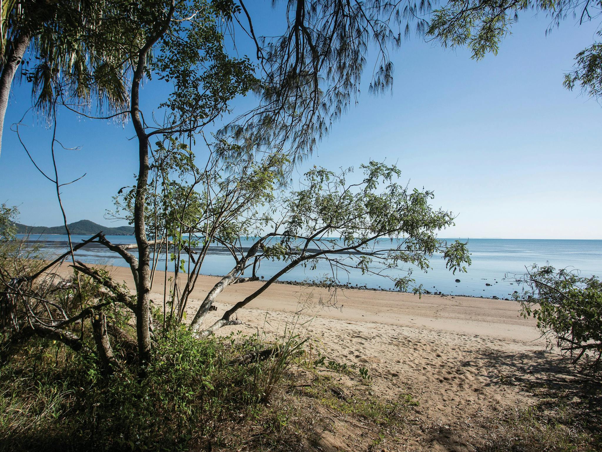 beachside camping, Cape Hillsborough National Park beachside camping, Cape Hillsborough National Park