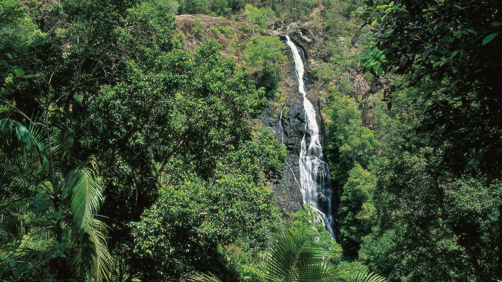 Mapleton Falls National Park