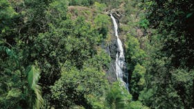 Mapleton Falls National Park