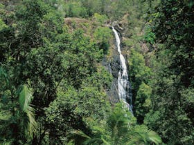 Mapleton Falls National Park