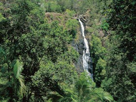Mapleton Falls National Park | Visit Sunshine Coast