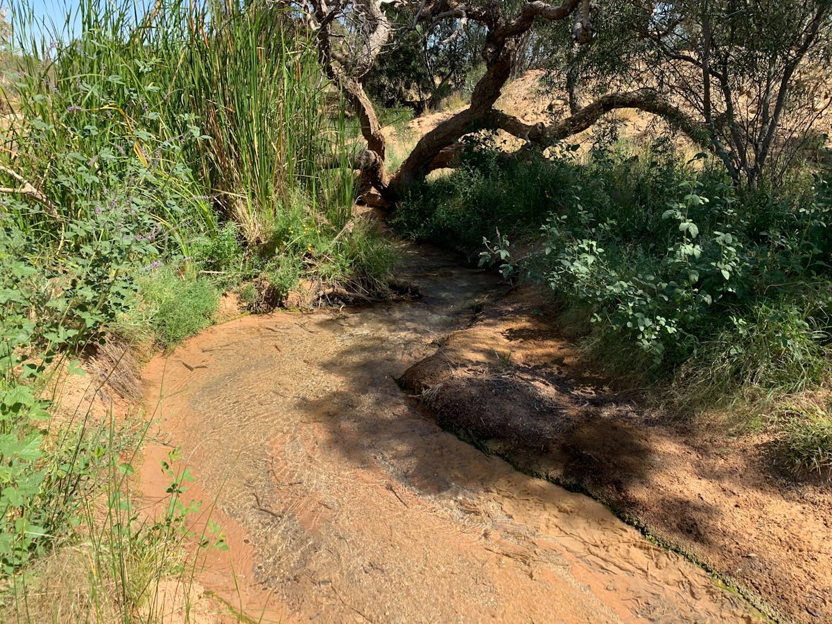 Carcory Bore Creek