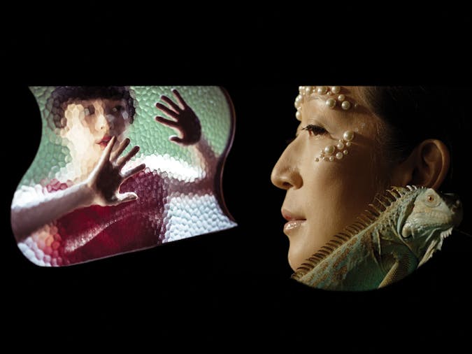 On View In Translation