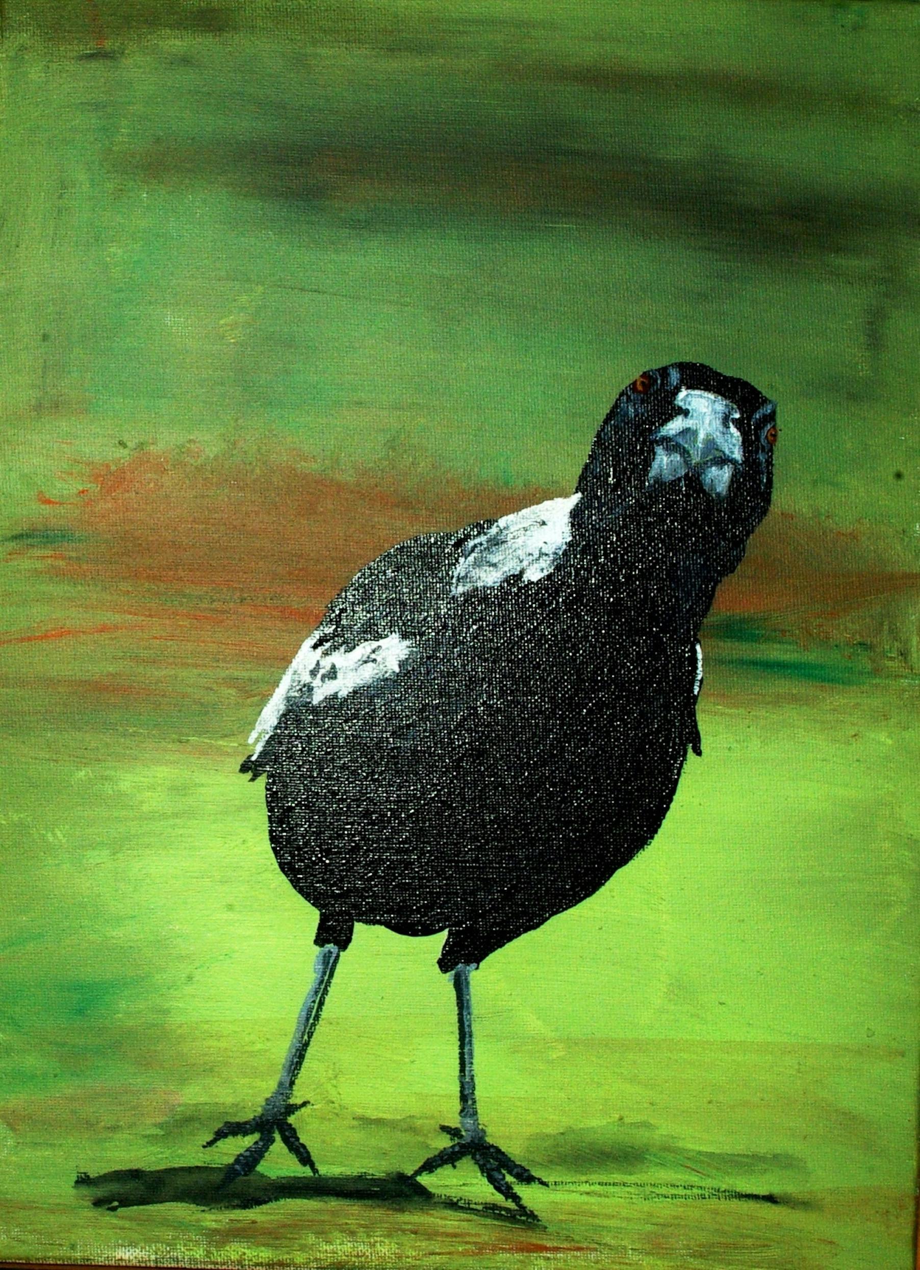 TIM MOORHEAD
