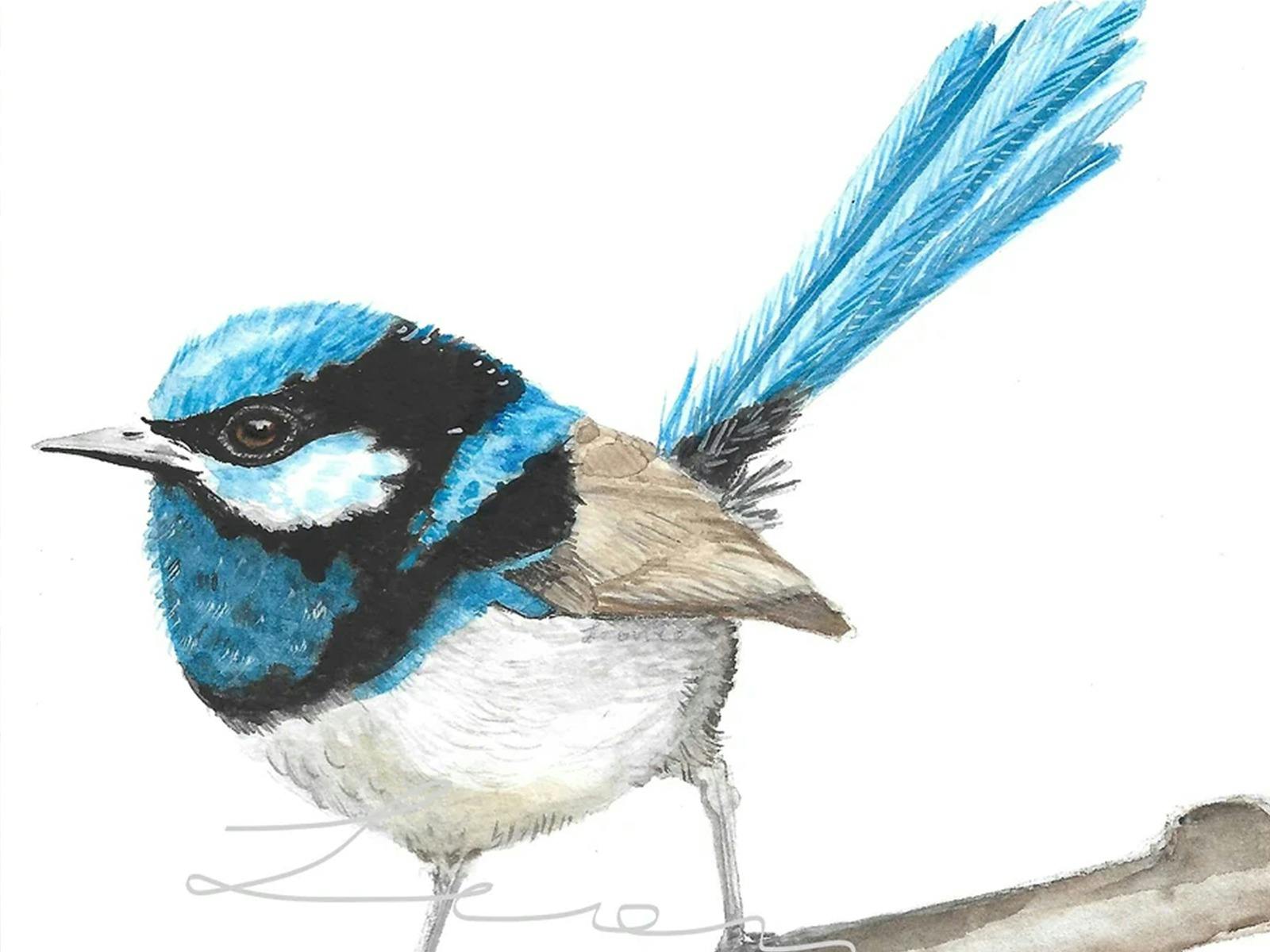 Bird watercolour painting