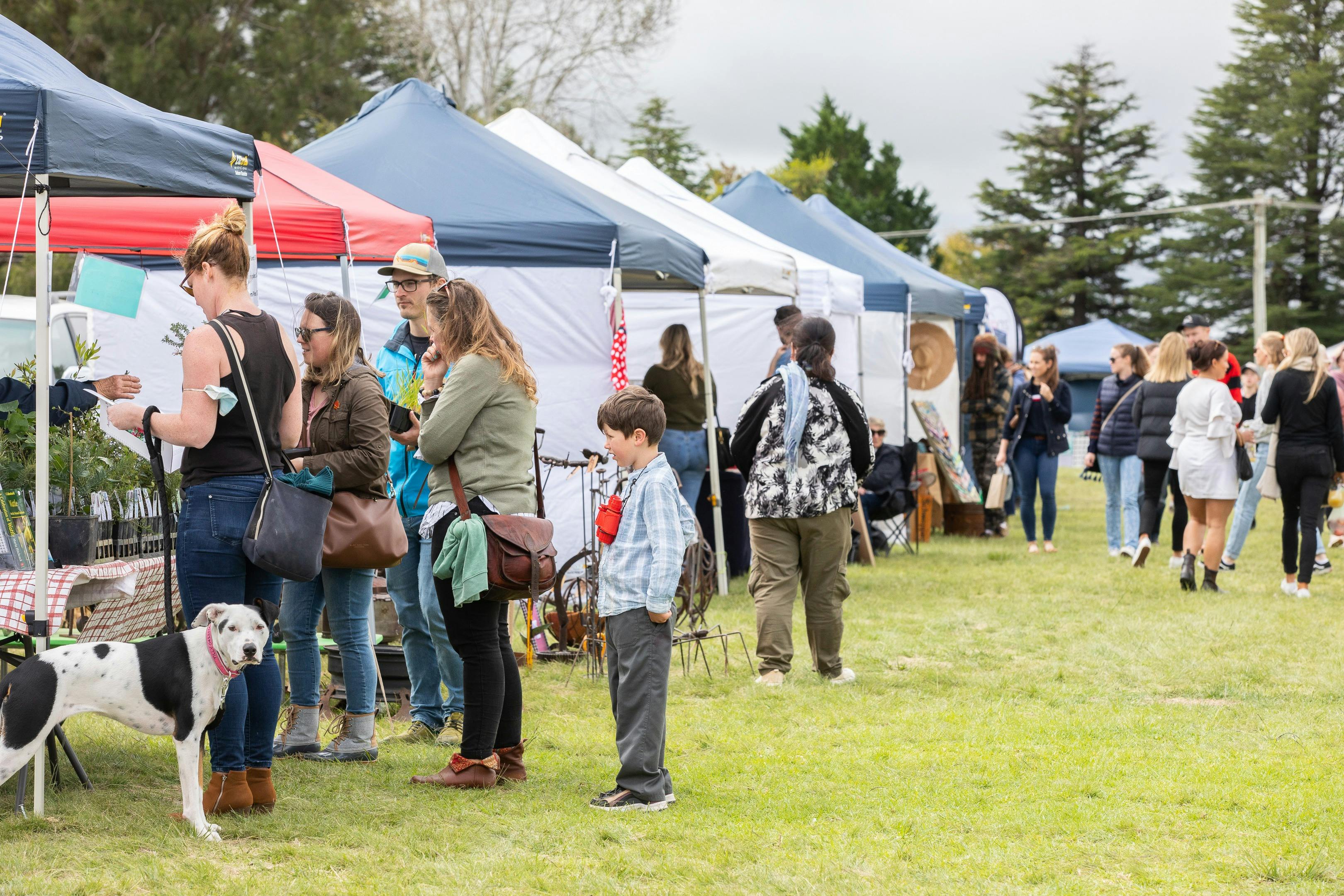 Listing Detail New England High Country