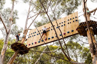 TreeClimb