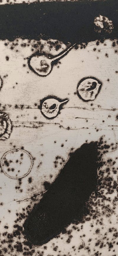 Image of artwork called South sounds (detail) by Rowena Evans