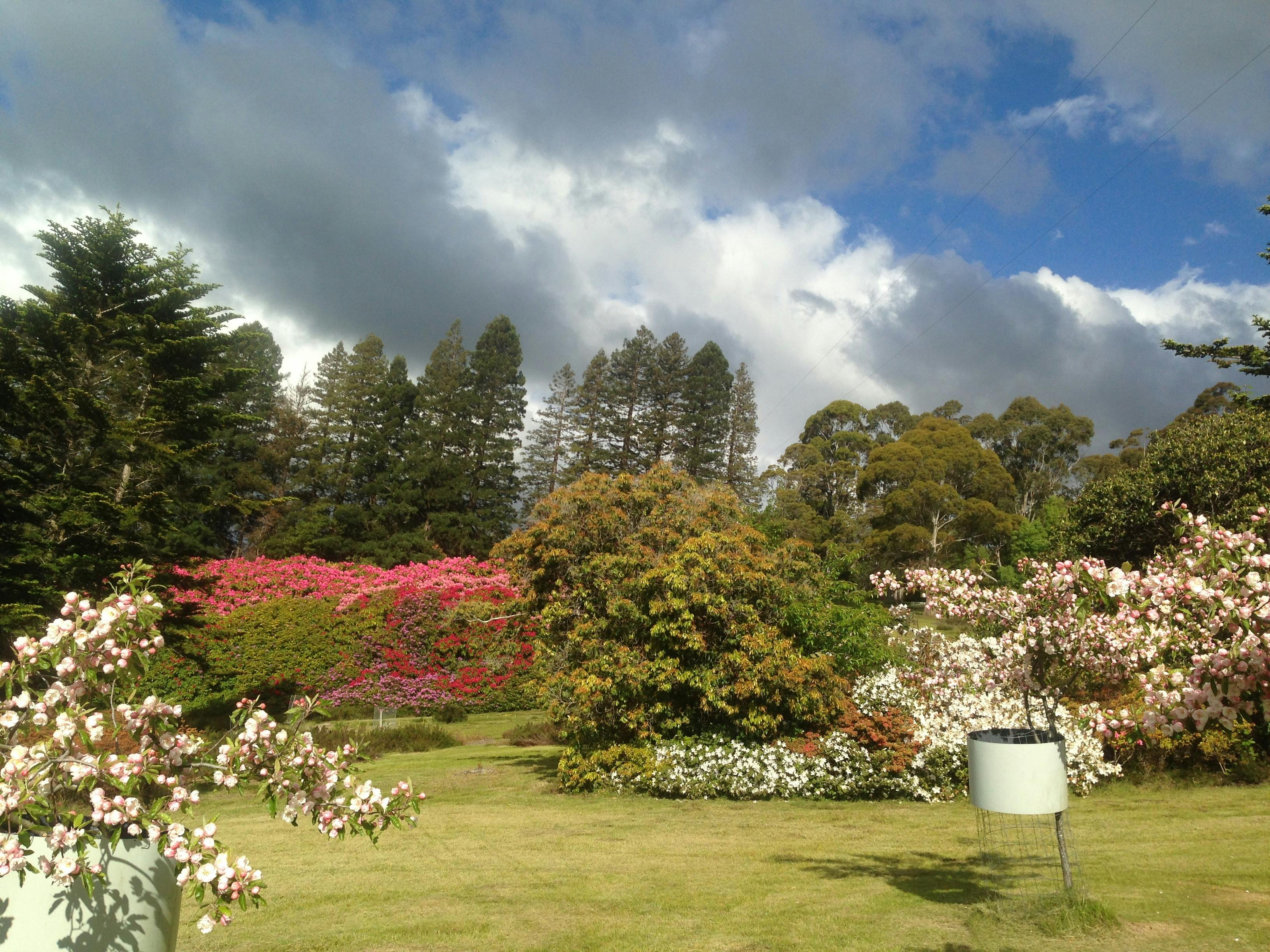 Lalla Flower Farm
