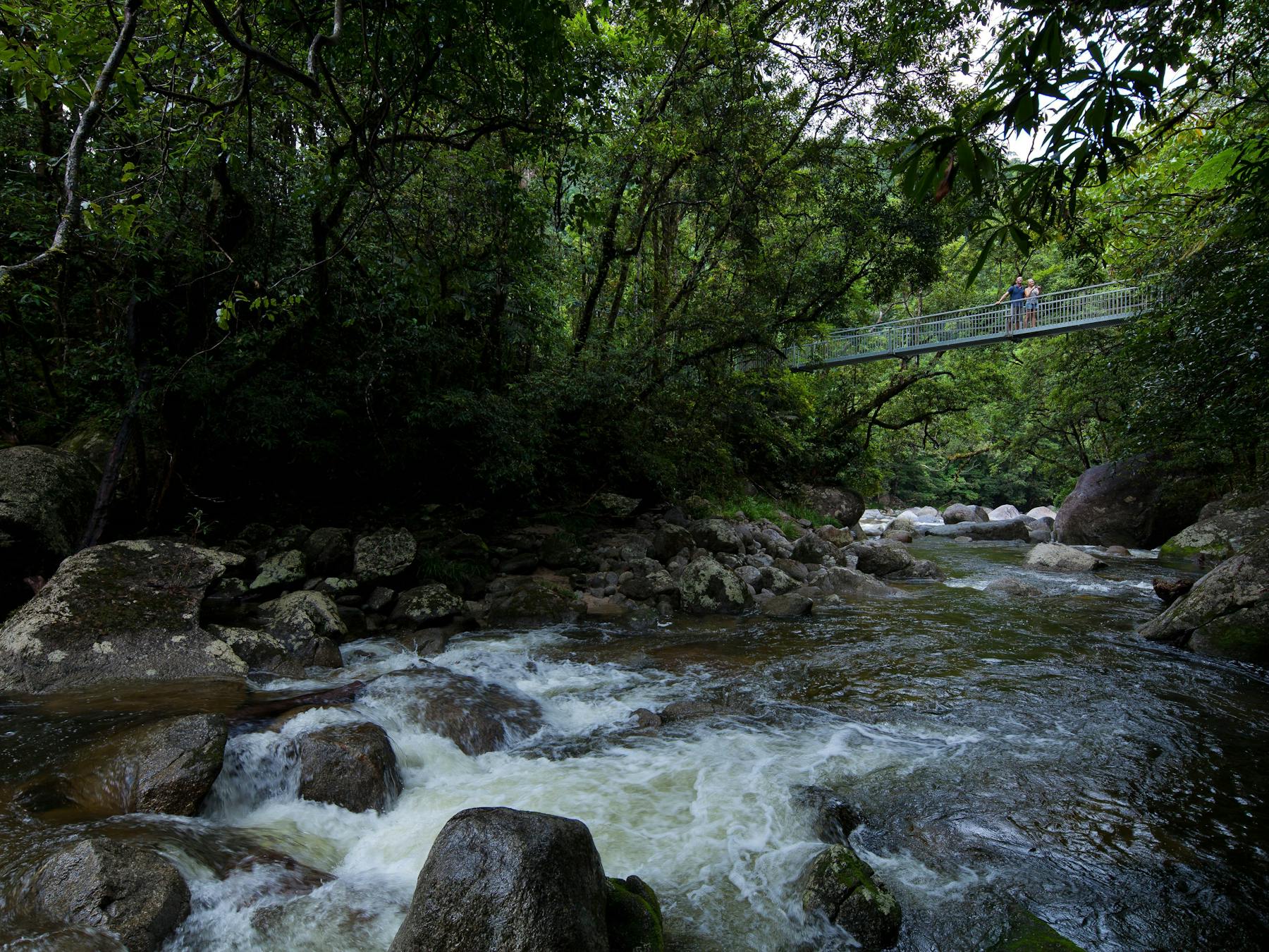 Mossman Gorge
