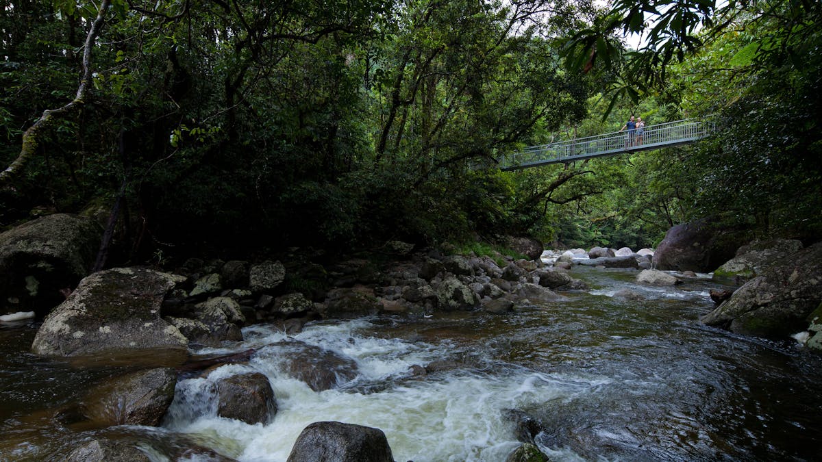 Mossman Gorge