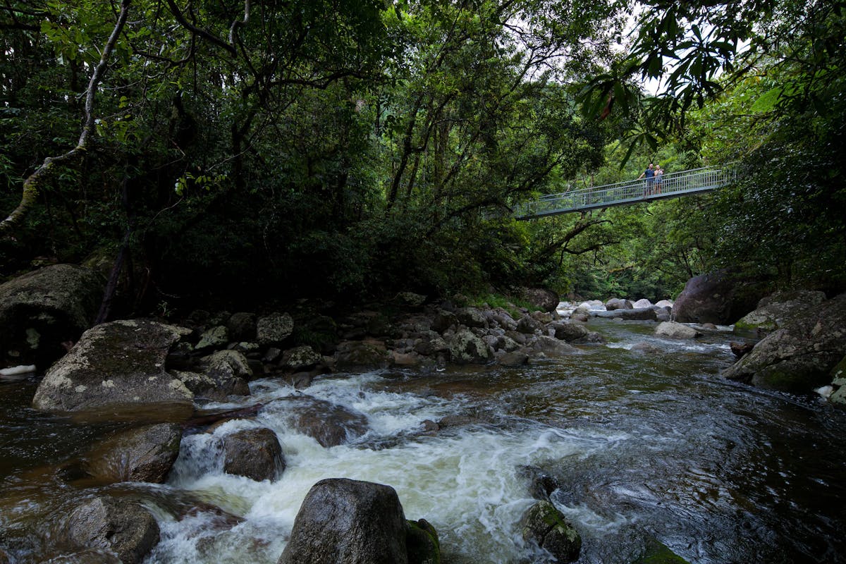 Mossman Gorge