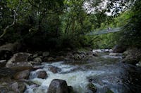 Mossman Gorge