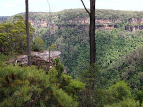 East Rim and Wildflower walking tracks