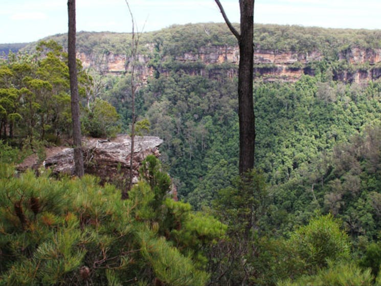 East Rim wildflower walking track