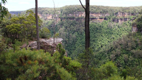 East Rim wildflower walking track