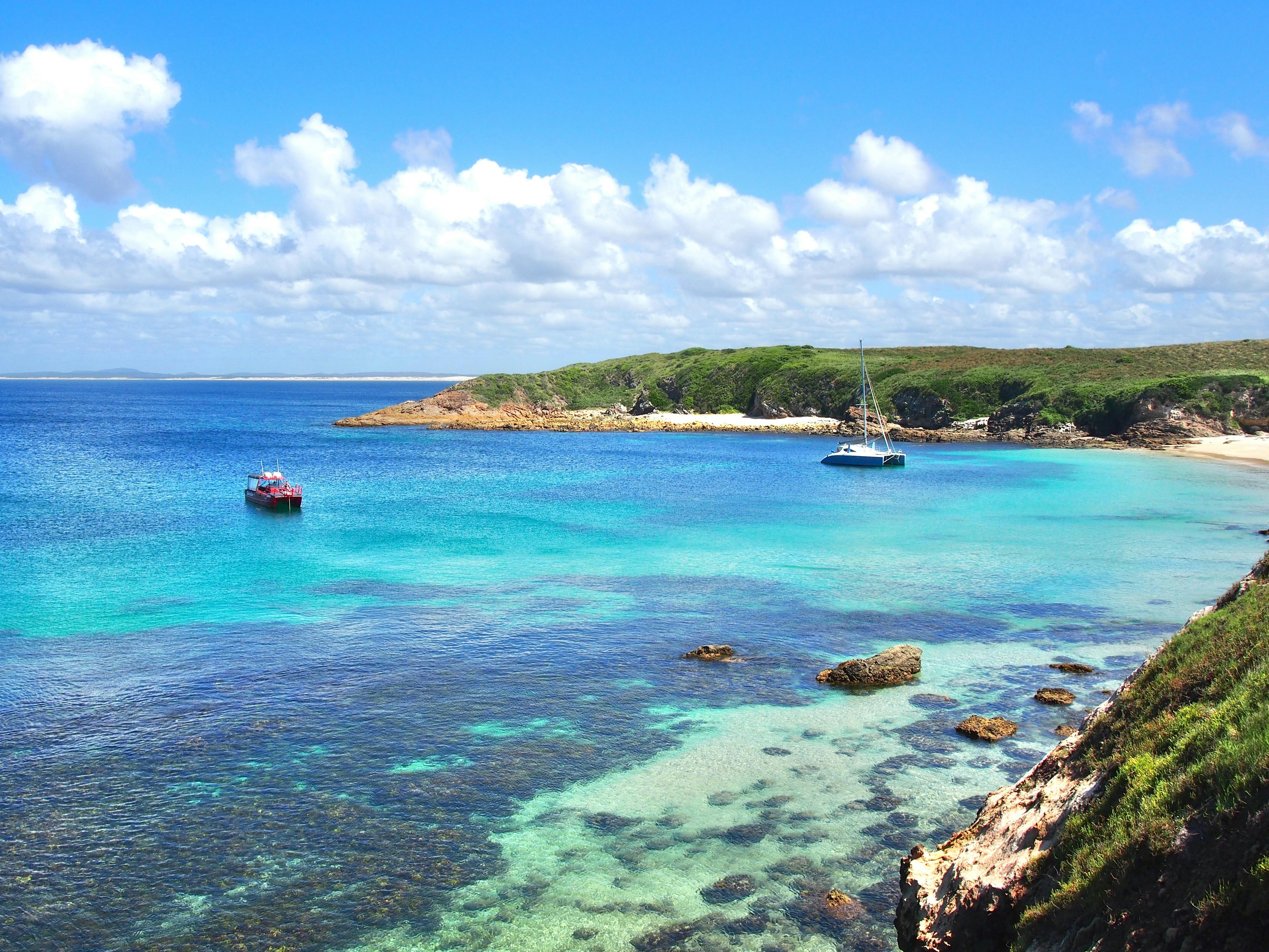 Port Stephens Island Snorkelling 1