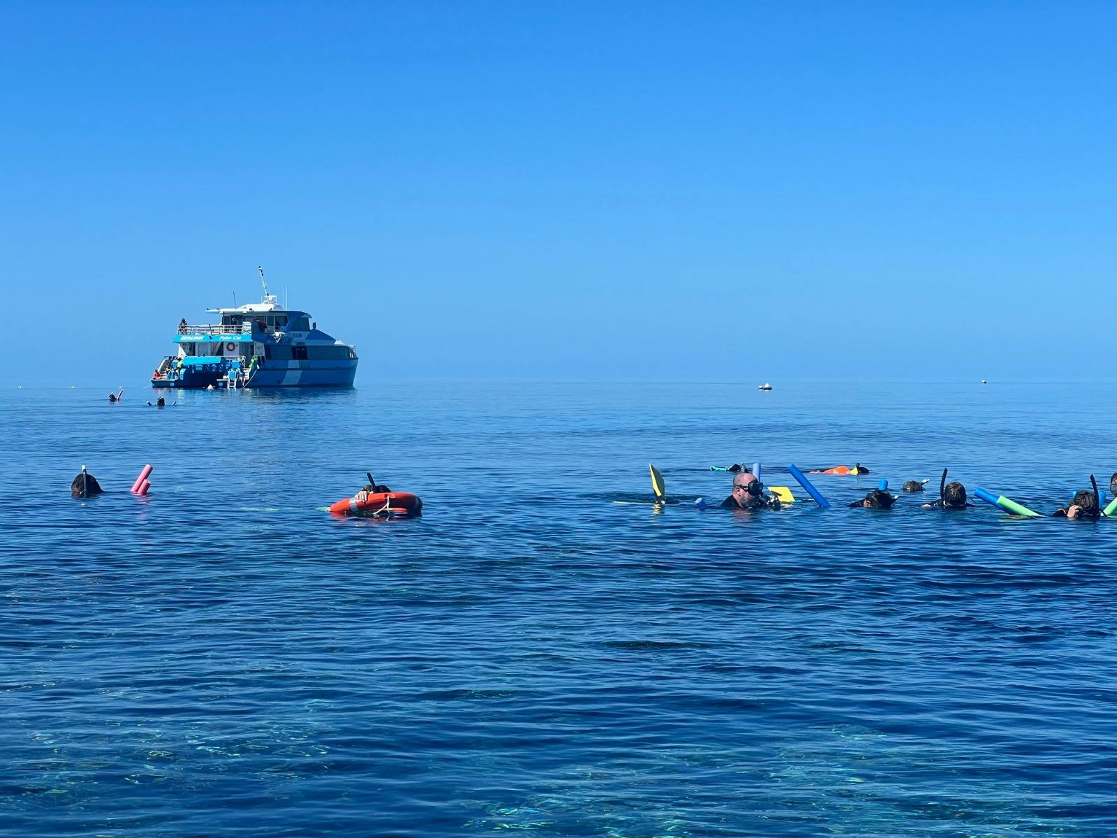 Snorkellers discovers the wonder of John Brewer Reef with SeaLink's vessel in the background