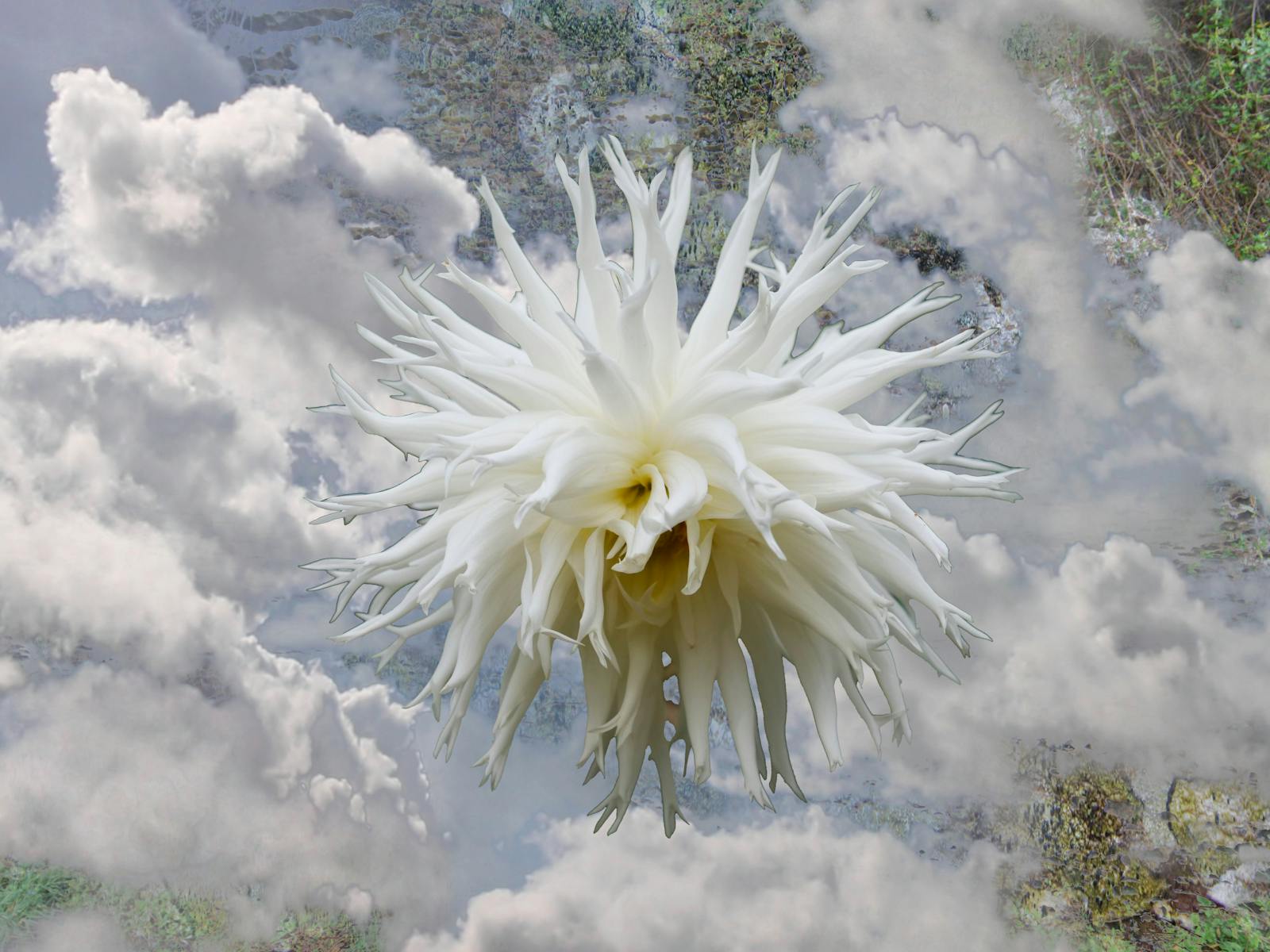 A still from the Brothers Gruchy Dissolving world video