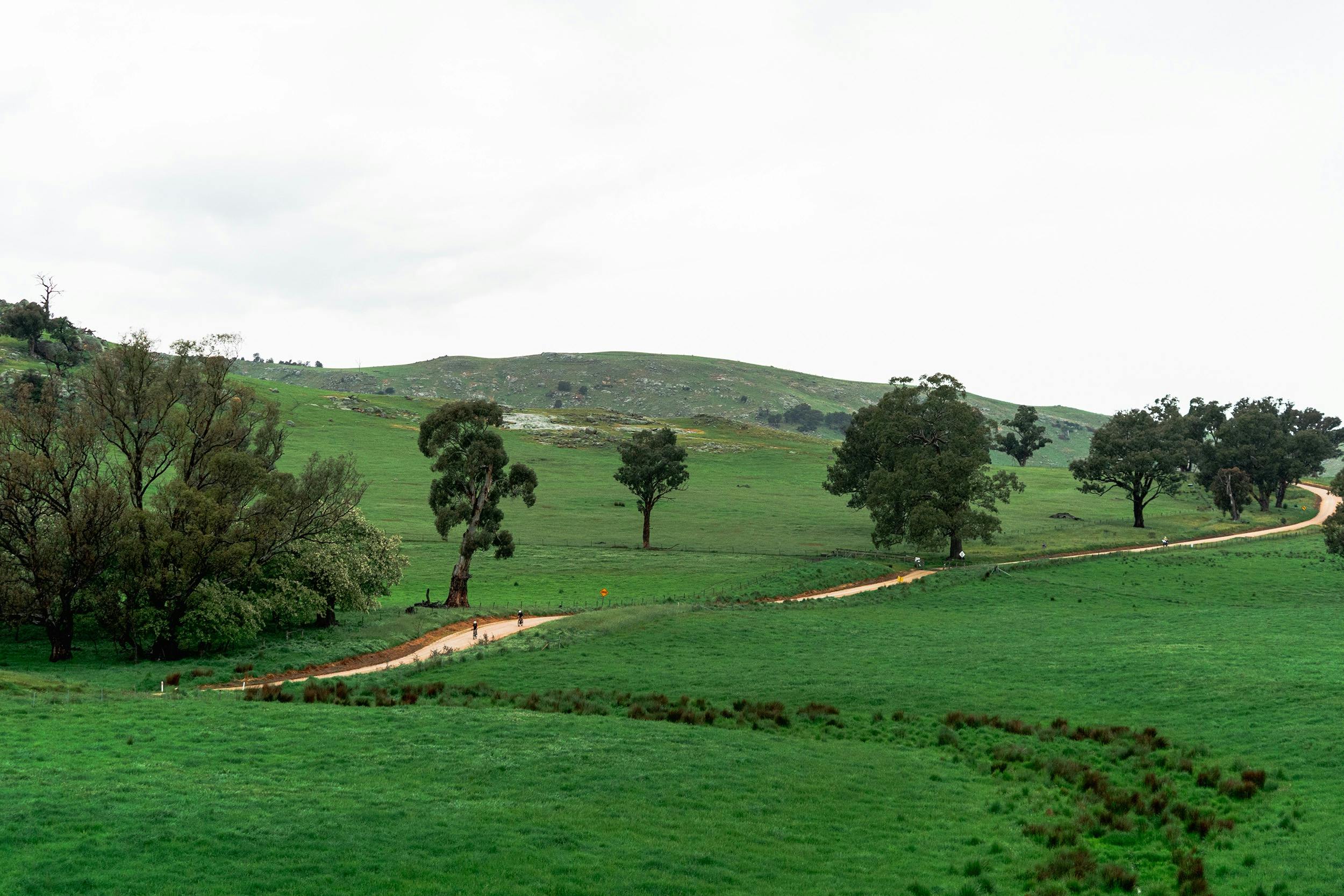 Mid Ride - Landscape