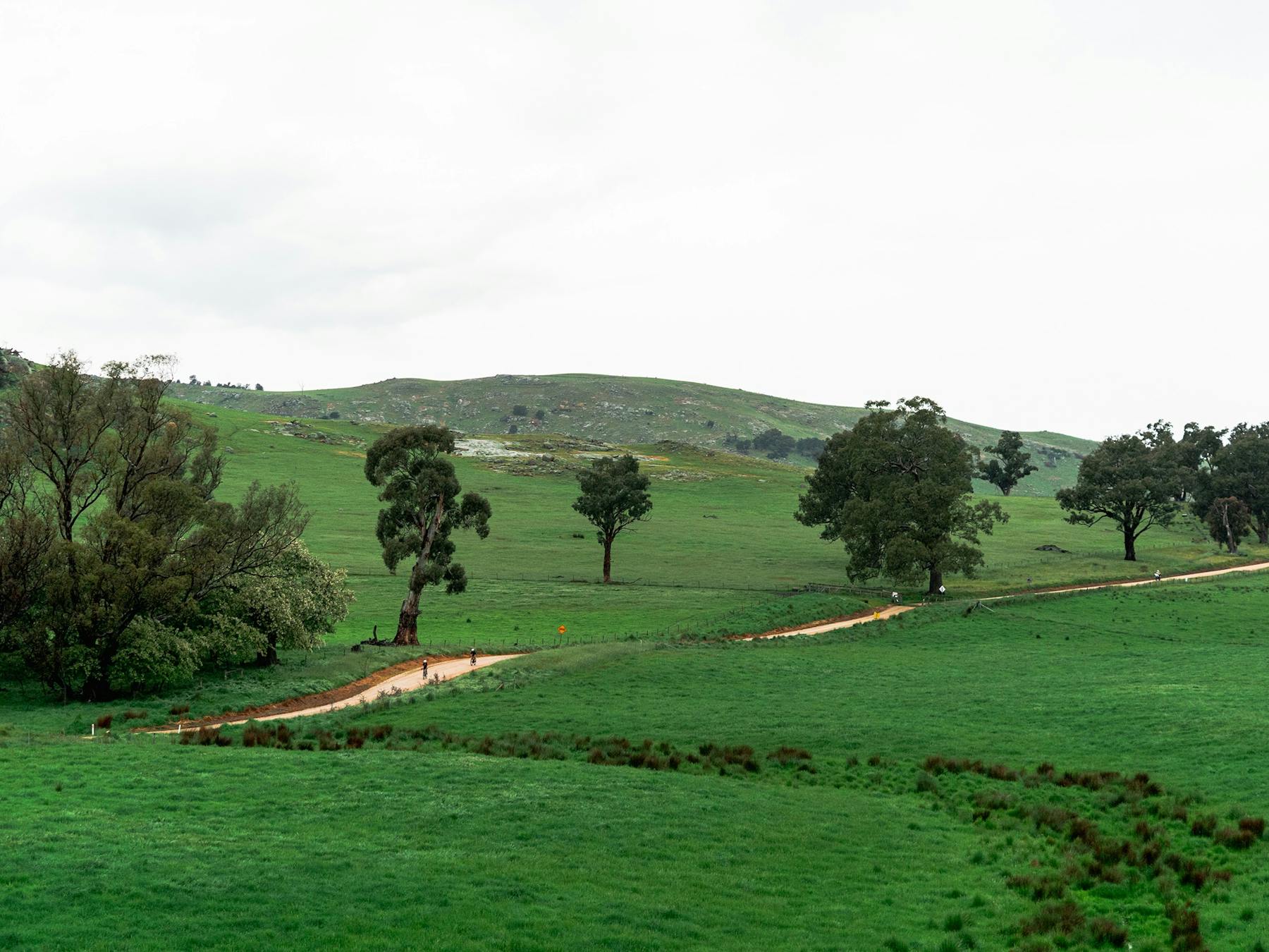 Mid Ride - Landscape