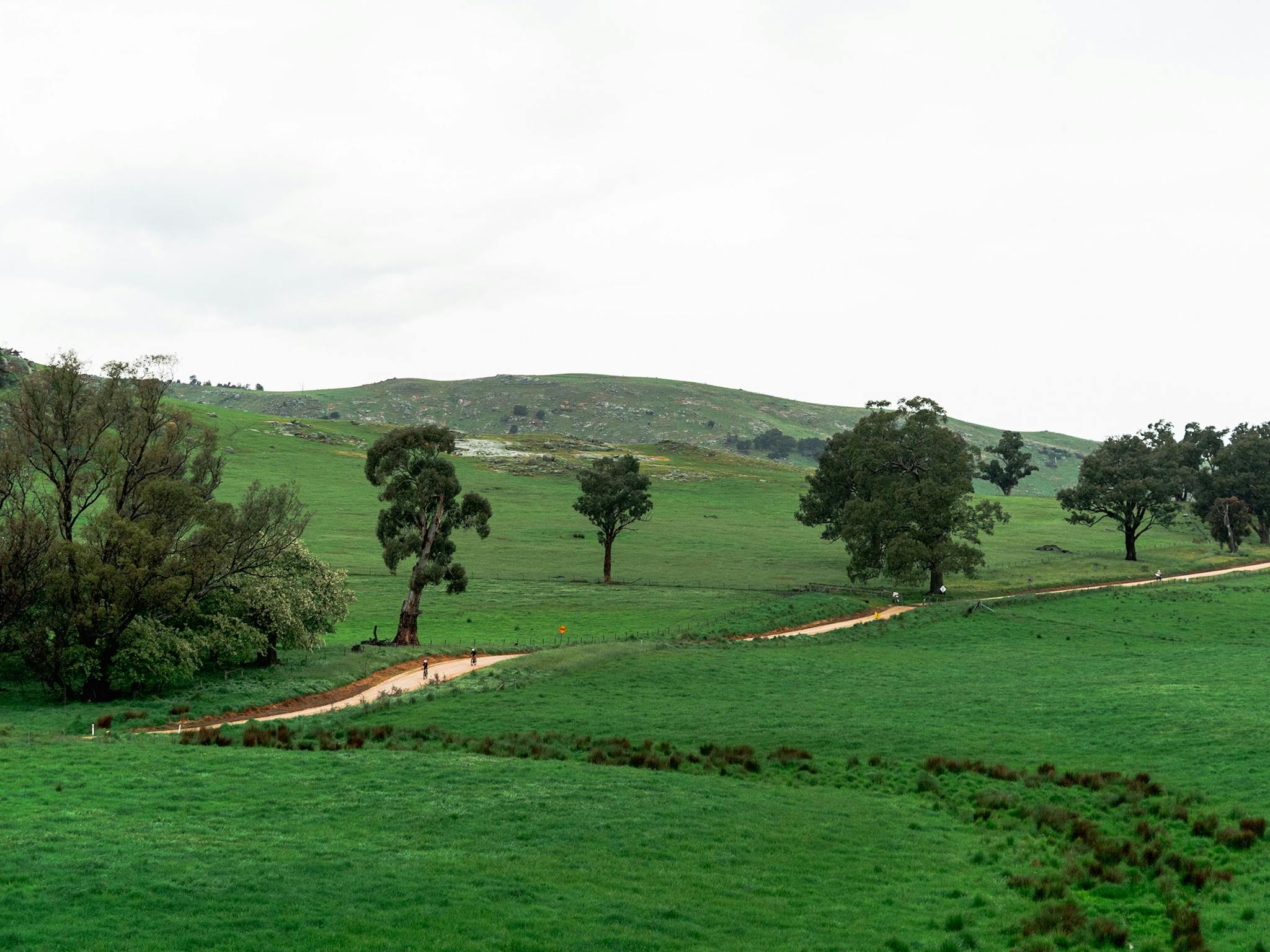 Mid Ride - Landscape