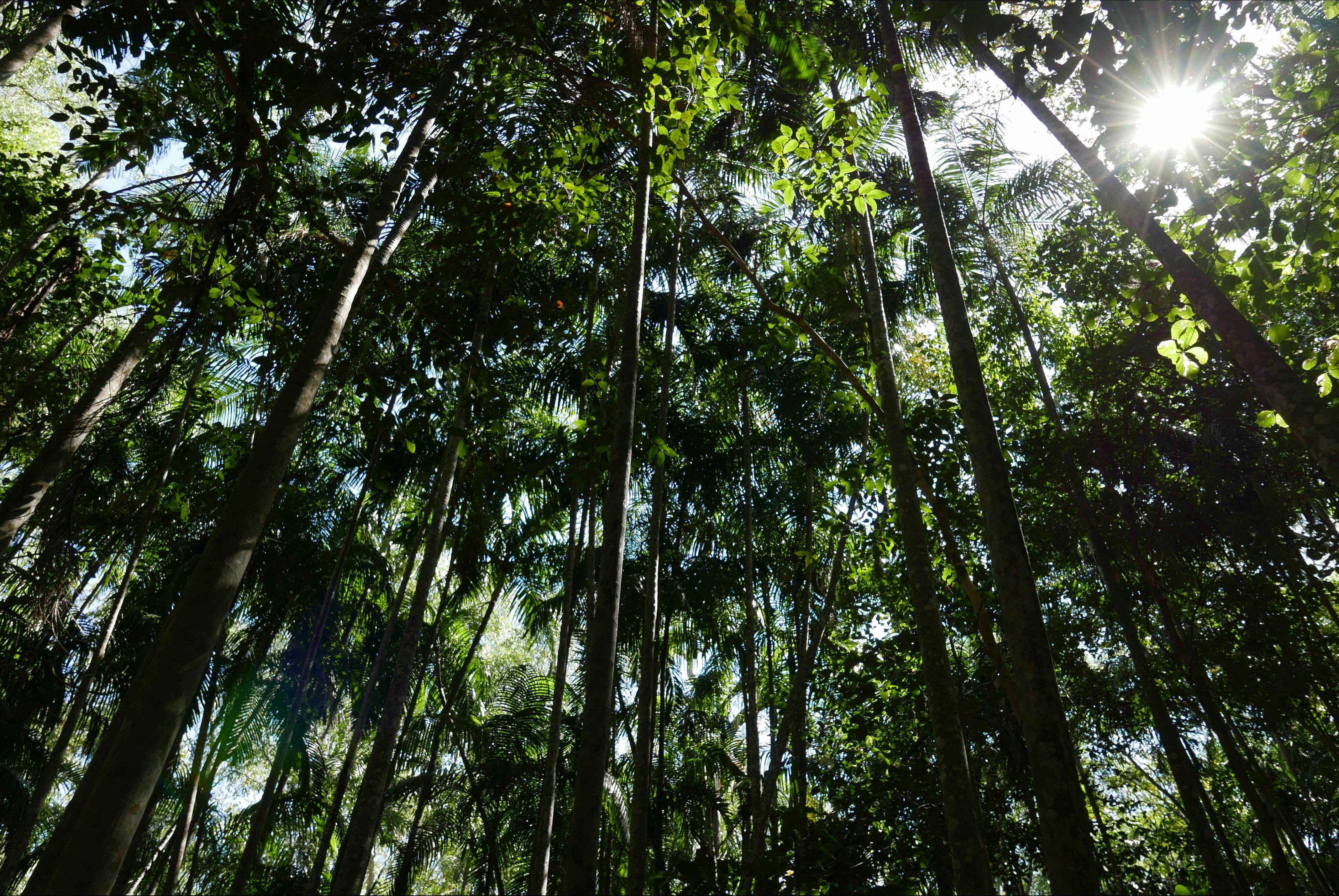 Holmes Jungle Nature Park