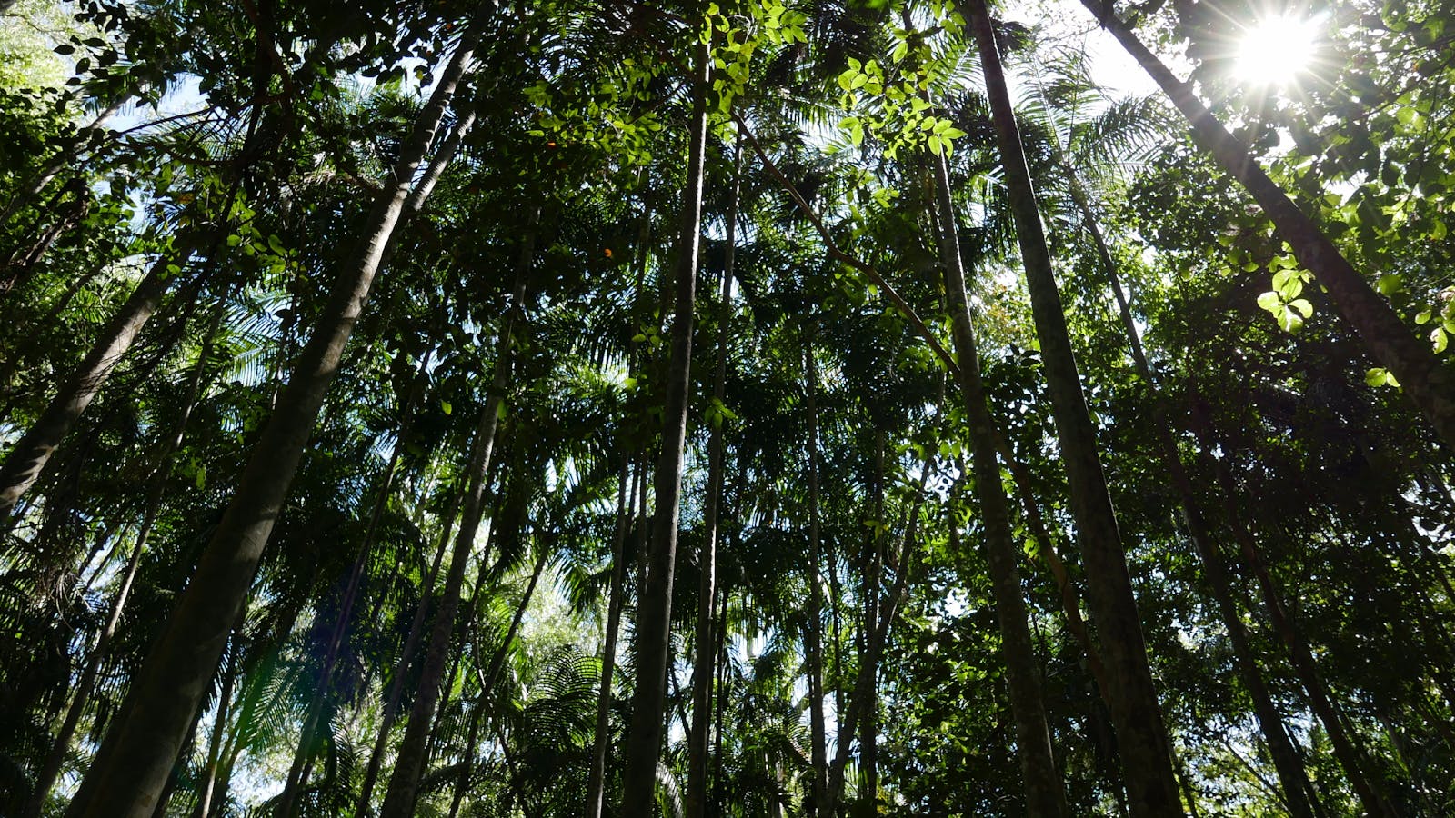 Holmes Jungle Nature Park