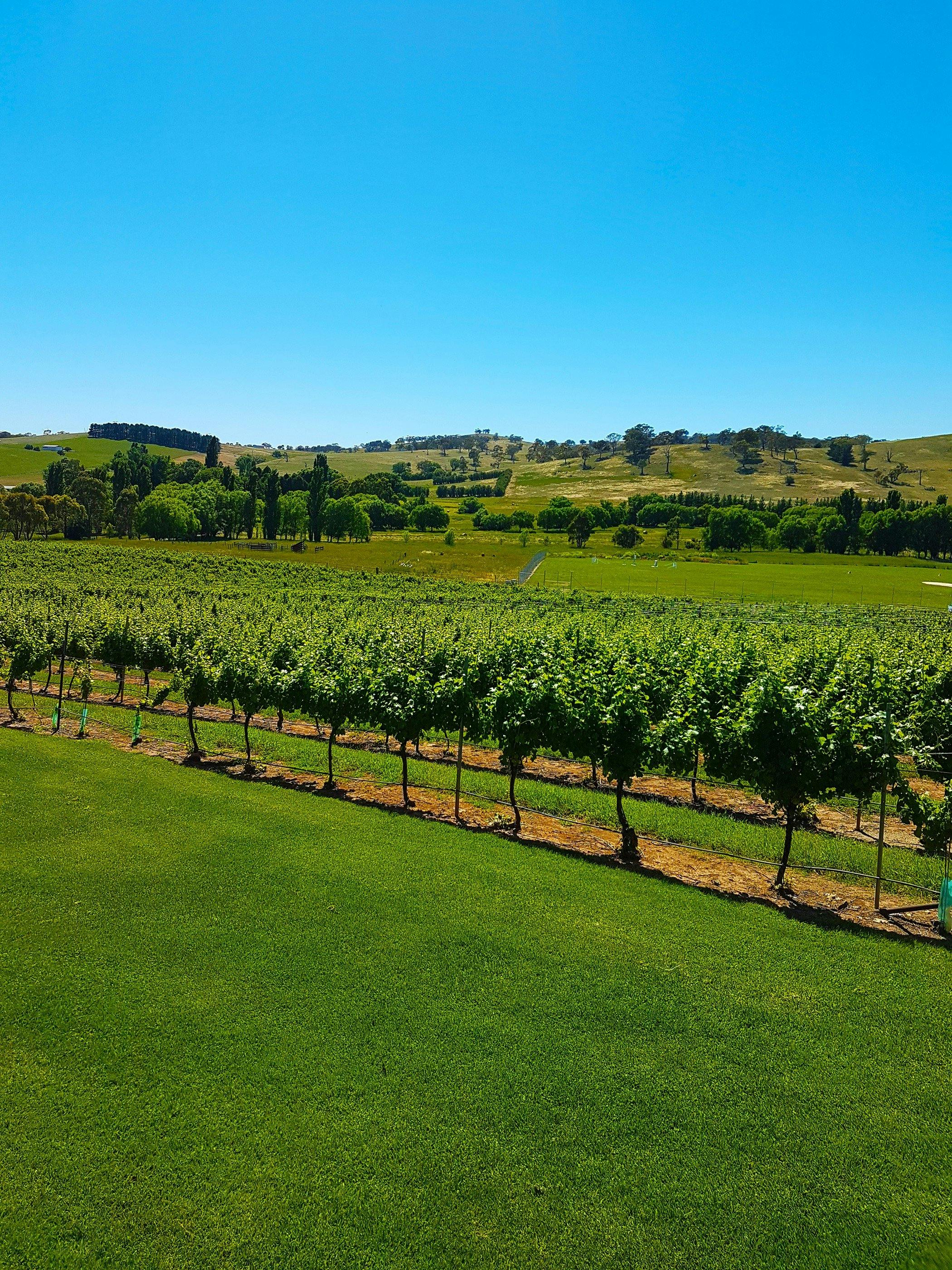 Highland Heritage Cellar Door
