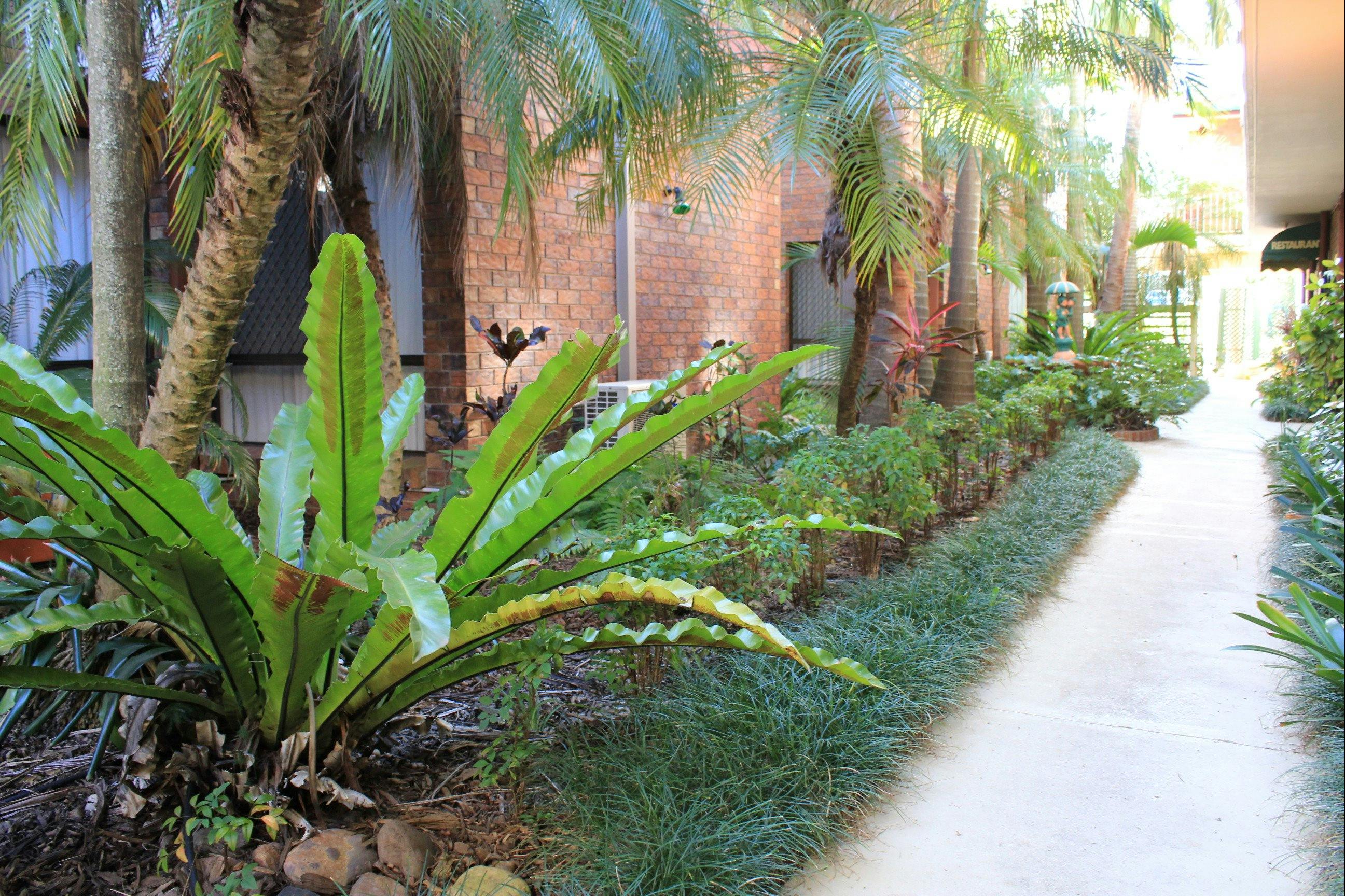 Sub-tropical gardens