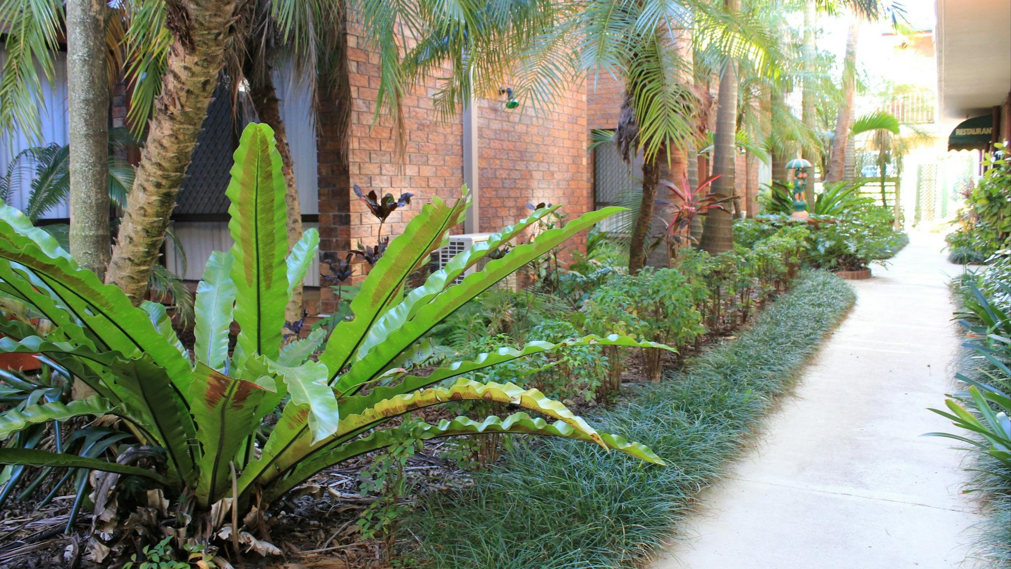 Sub-tropical gardens at Ipswich Hotel