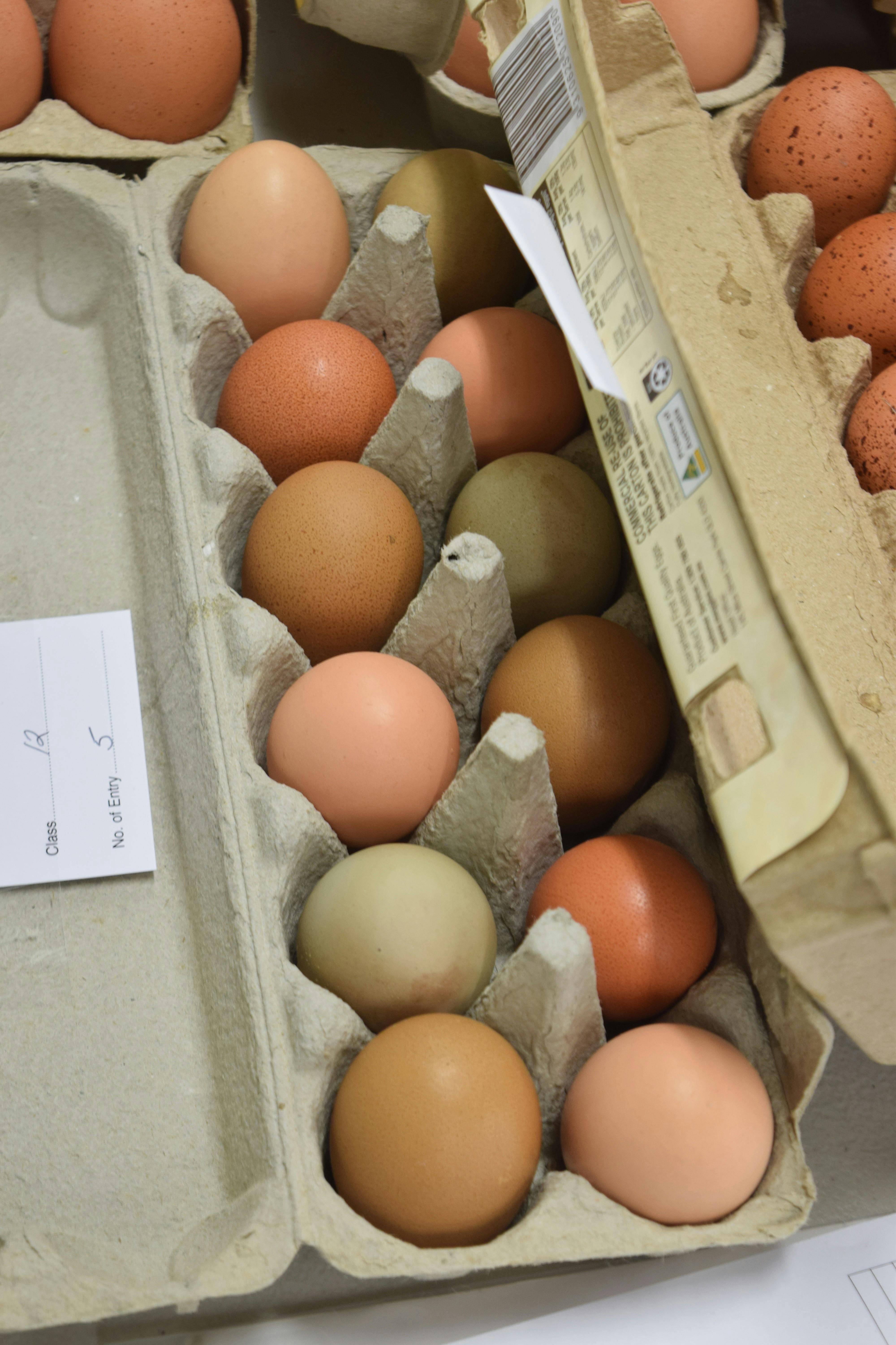 Eggs