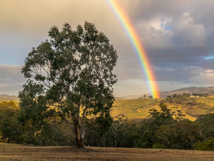 Rainbow from Wombat Cottage