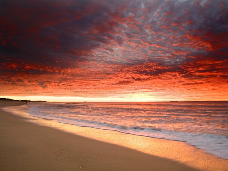 Sapphire Beach | NSW Holidays & Accommodation, Things to Do
